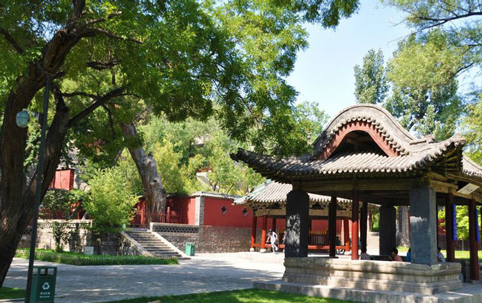 Jinci Temple Scenery